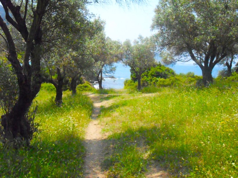 SAMSUNG DIGITAL CAMERA