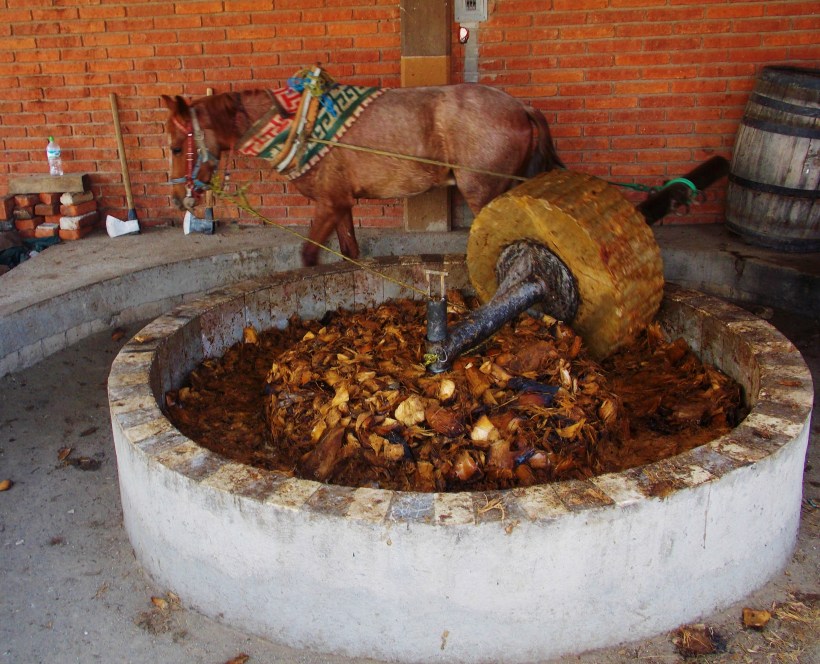 55% Mezcal, made from 100% Horsepower