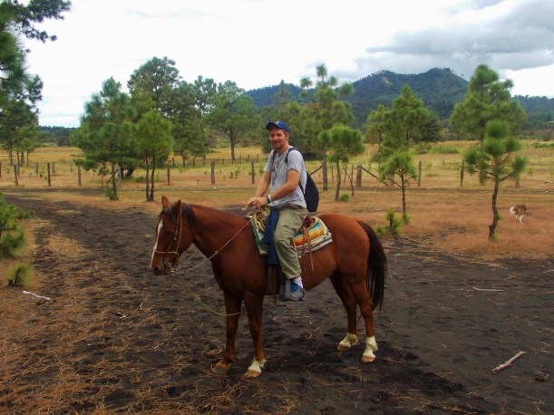 A strong beast  #hoptgf