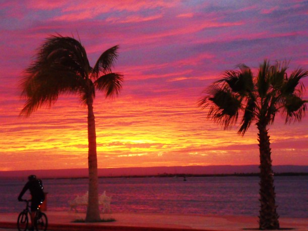 SAMSUNG DIGITAL CAMERA