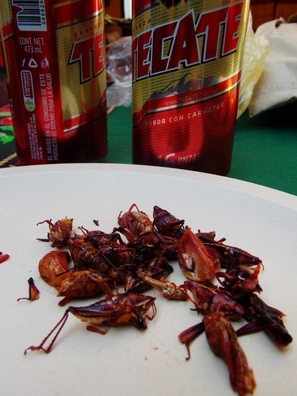 Garlic and Chilli Chapulines, or crickets to me and you