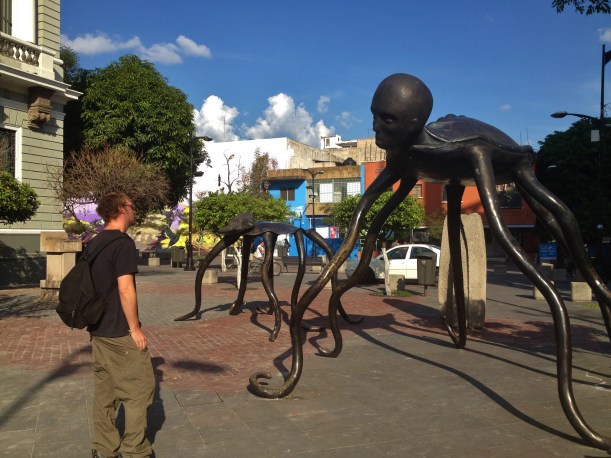 I'm not quite sure, but I think it want's to eat me #hoptgf