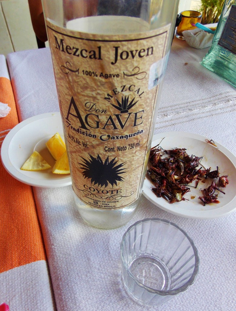 Mezcal and Chapulines with some Colombians at the Don Agave factory