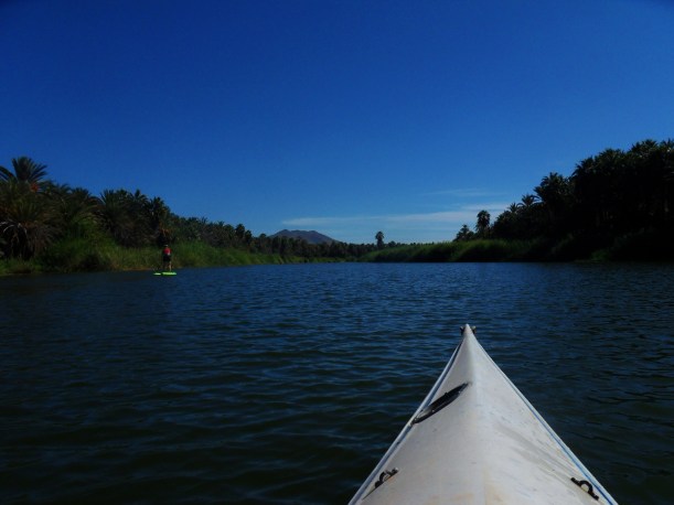 SAMSUNG DIGITAL CAMERA