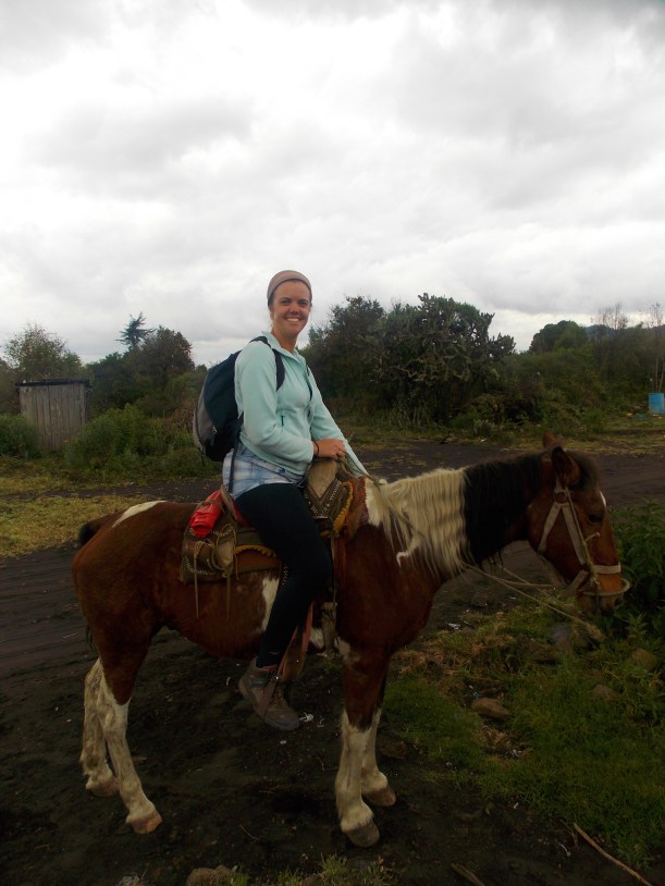 Ollie and the sneaky Nigel  #hoptgf