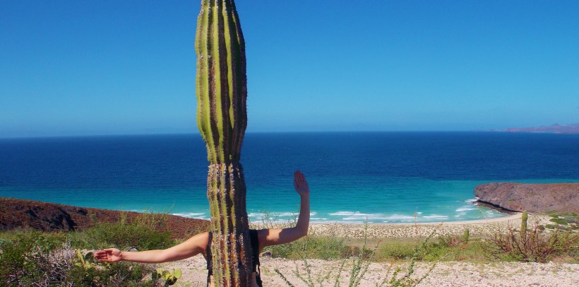 Ollie Cactus #hoptgf