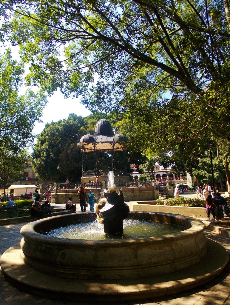 The Zocola Plaza Oaxaca
