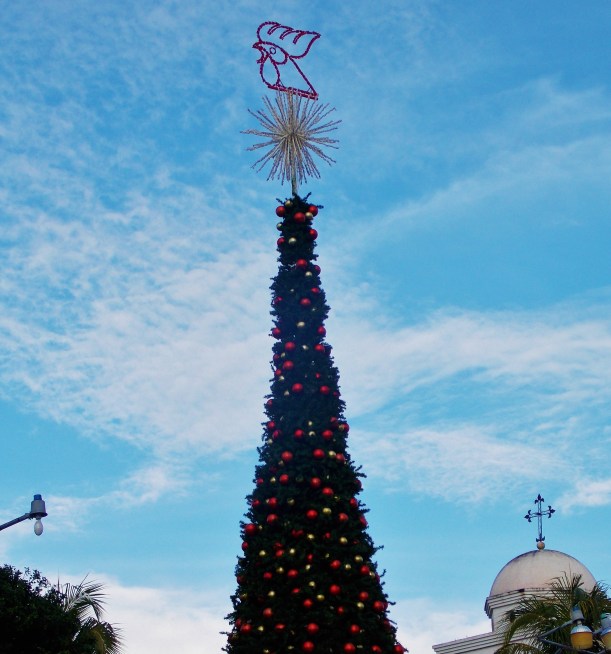Gallo Beer Sponsored Christmas