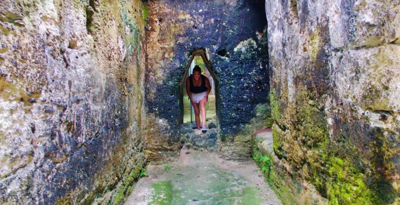 Ollie is a bit bigger than your average Mayan