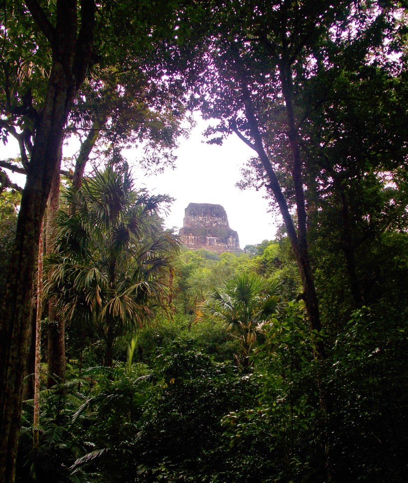 Temple 4 through the jungle