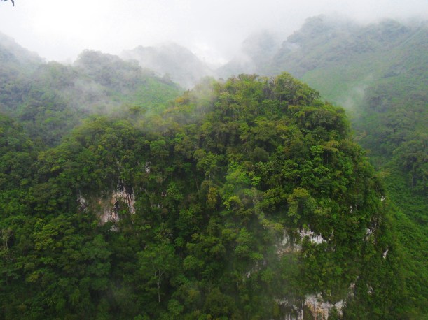Cloud forest of Semuc Champey