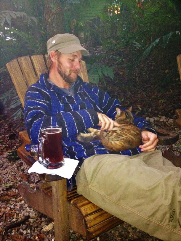 Beer and Cat...perfect