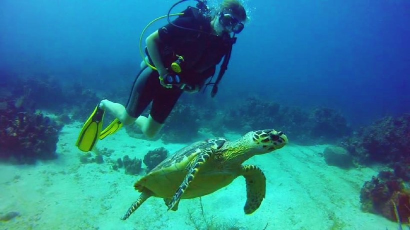 Me and my turtle friend