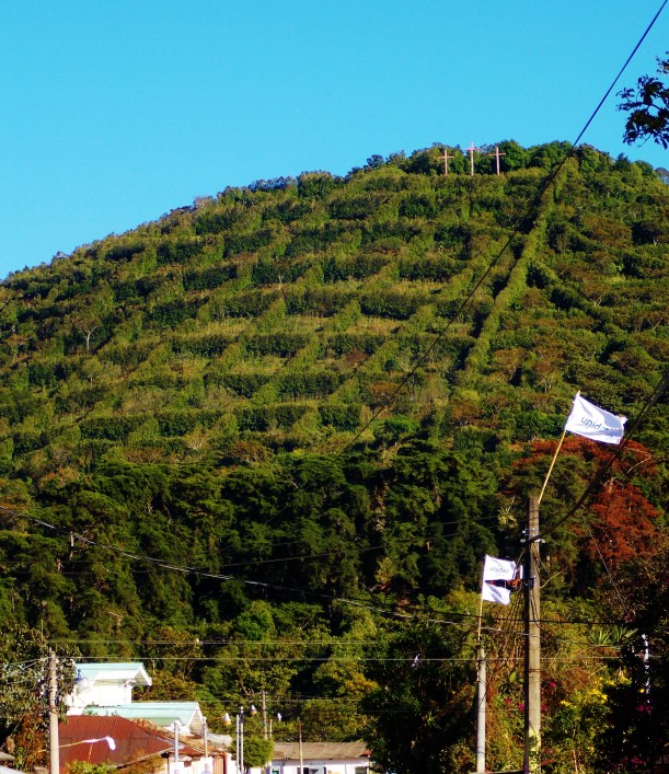 The distinctive wind breakers and crosses of Apaneca