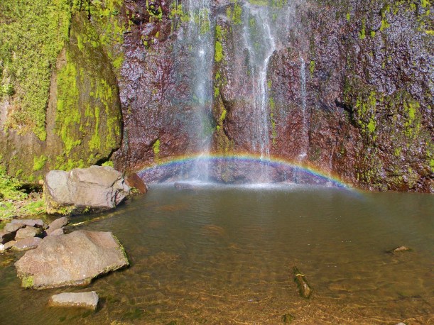 A fine spot for a shower!