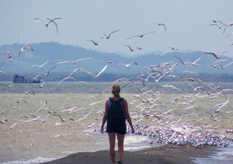 BIRDS! At Punta Jesus Maria