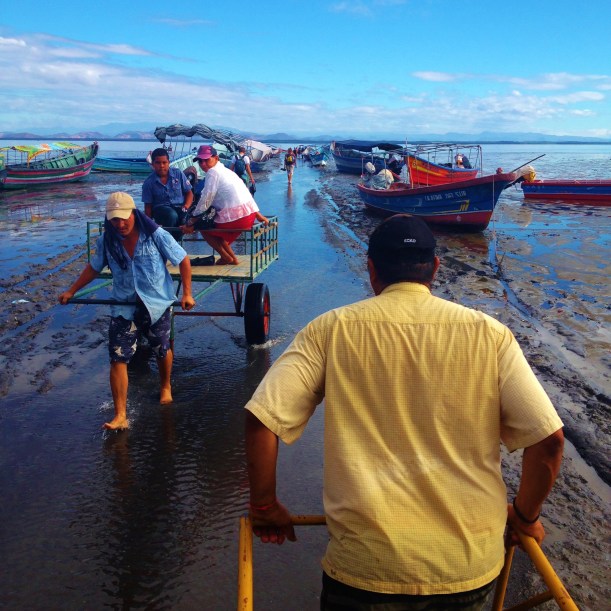 Being carted to the lancha through the shallows - Odd
