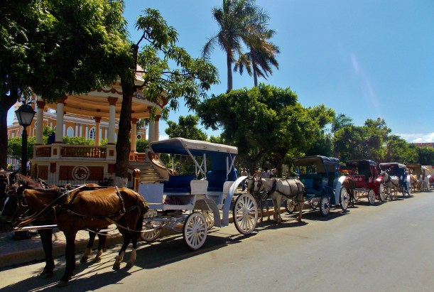 Horse drawn carts of Granada