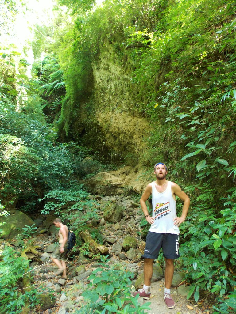 Living wall on the way up to the falls