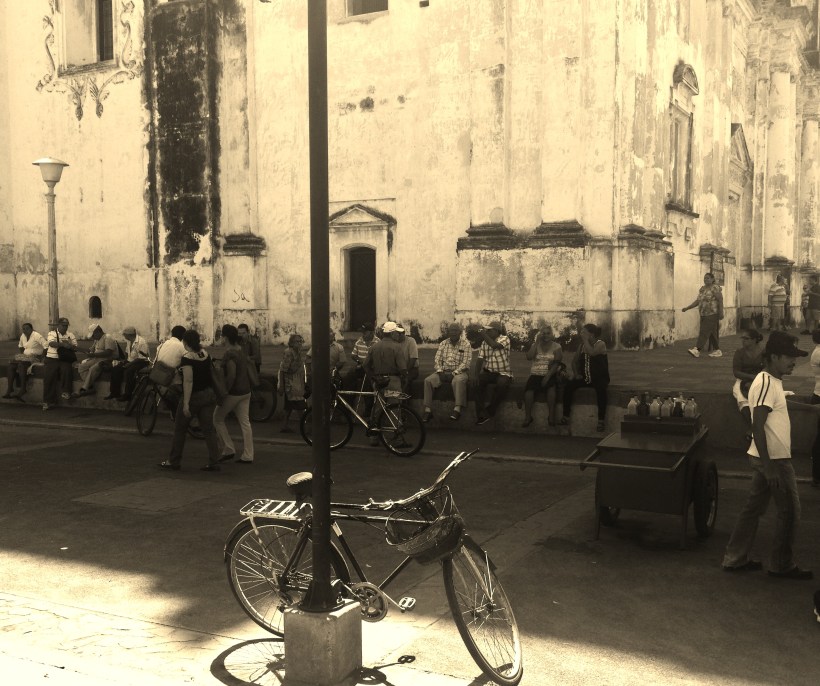 Locals seeking shade