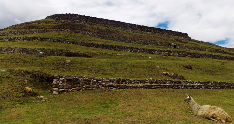 Pumapungo...with llama