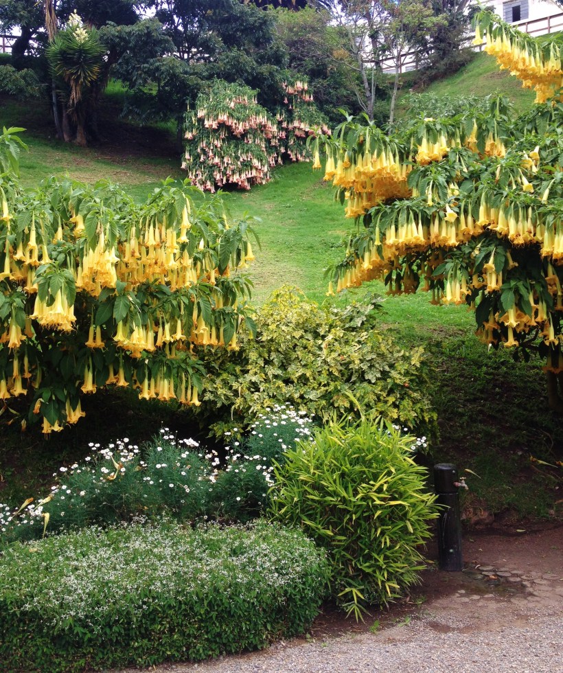 The gardens of the Bank Museum