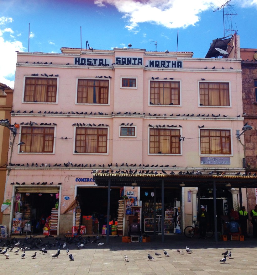 Pigeons at the PLaza Civic