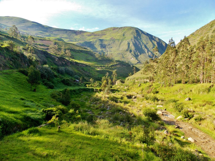 One of the MANY shots of greenery taken on the journey