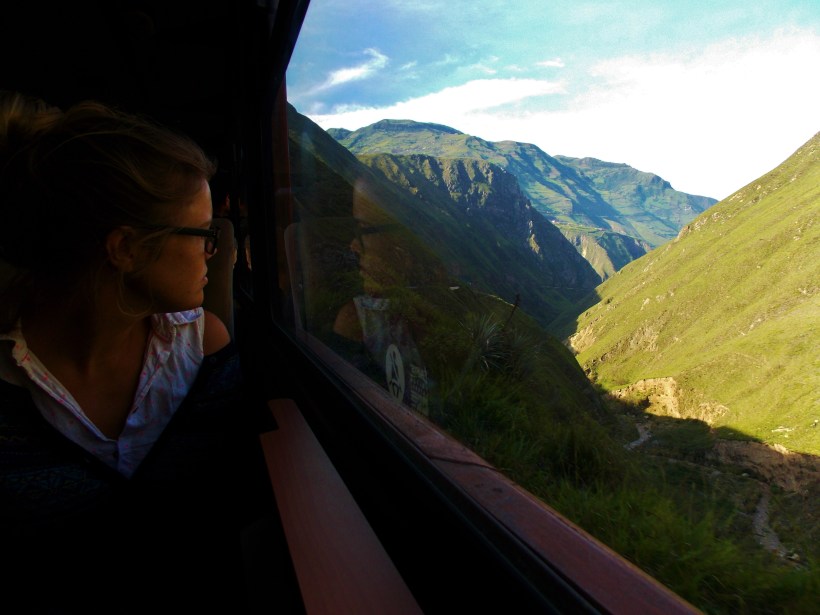 Deep concentration on the natural beauty 