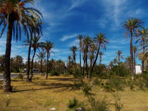 BAJA CALIFORNIA, NORTE & SUR