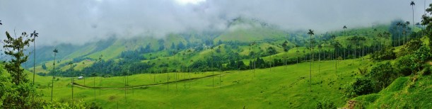 Valle de Cocora - On a cloudy day,,,