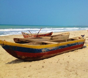 Rancho Relaxo, Palomino & Los Naranjos